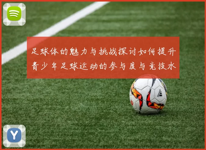足球体的魅力与挑战探讨如何提升青少年足球运动的参与度与竞技水平