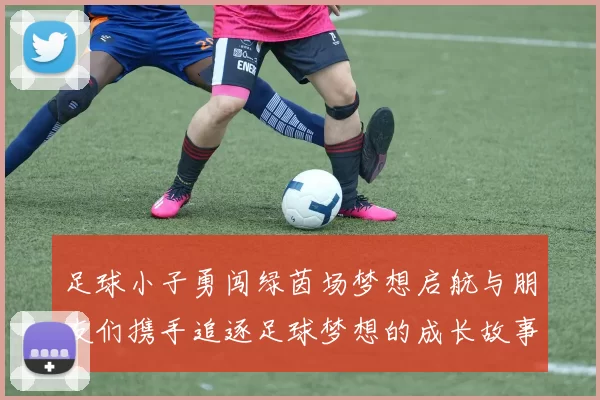 足球小子勇闯绿茵场梦想启航与朋友们携手追逐足球梦想的成长故事