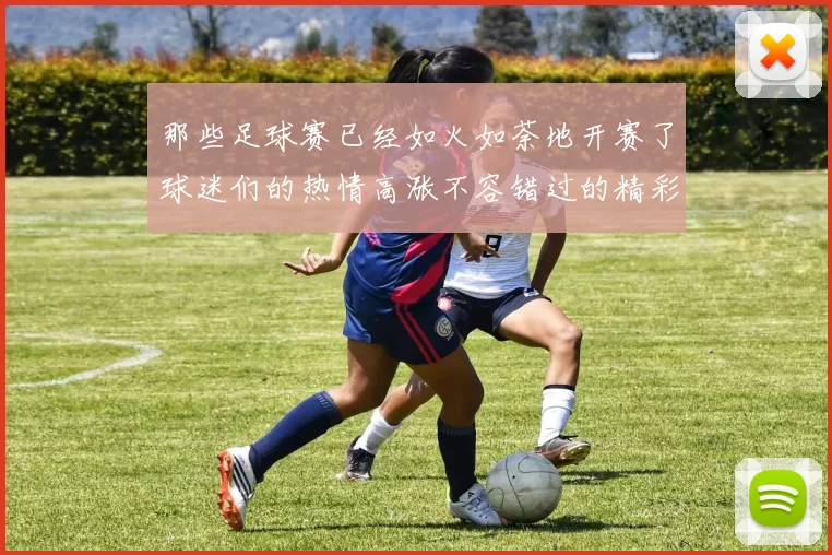 那些足球赛已经如火如荼地开赛了球迷们的热情高涨不容错过的精彩瞬间