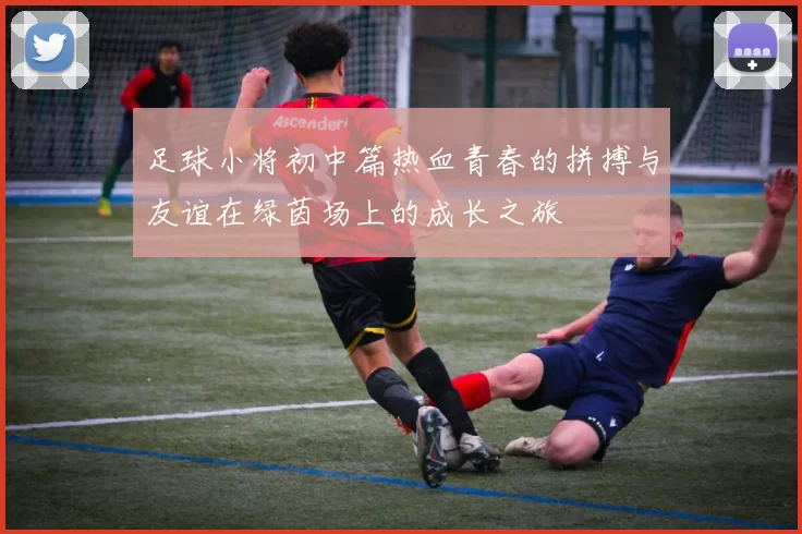 足球小将初中篇热血青春的拼搏与友谊在绿茵场上的成长之旅