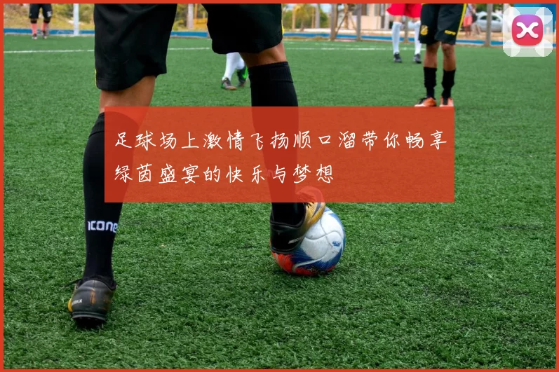 足球场上激情飞扬顺口溜带你畅享绿茵盛宴的快乐与梦想